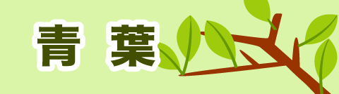 桜開花状況