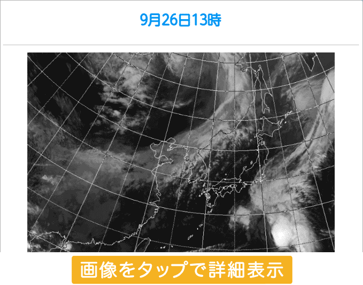 サンプル