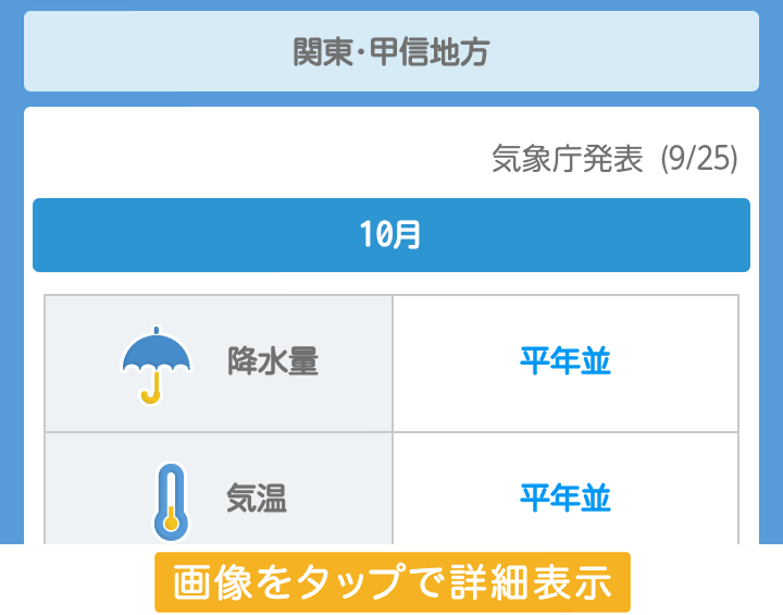 サンプル