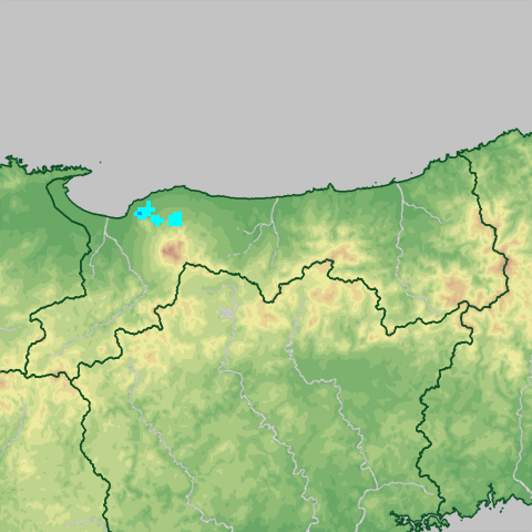 �~���}�b�v