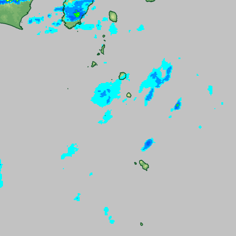 �~���}�b�v