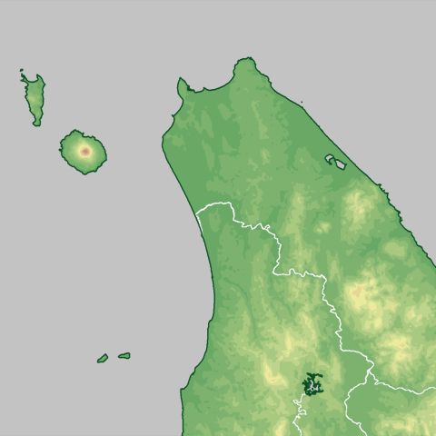 �����\��