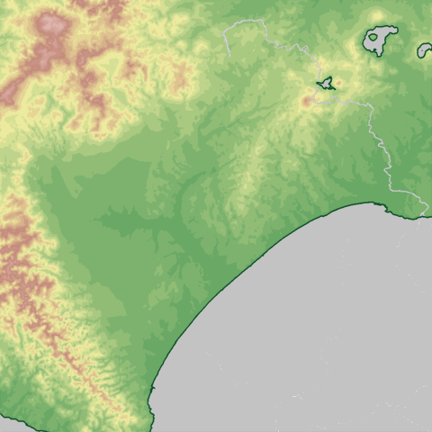 �����\��