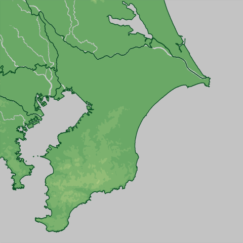 �����\��