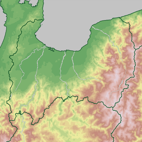 �����\��