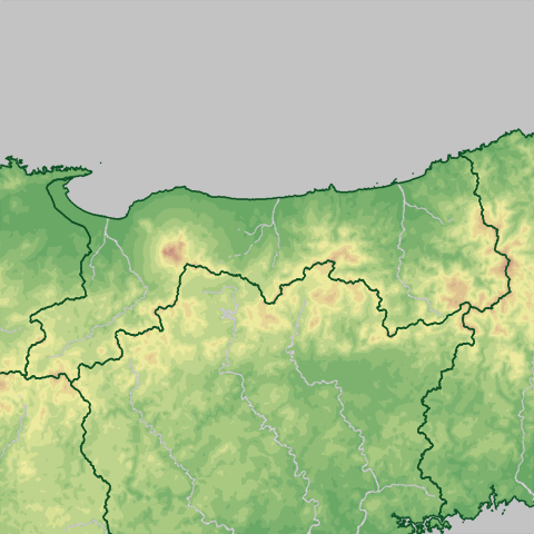 �����\��