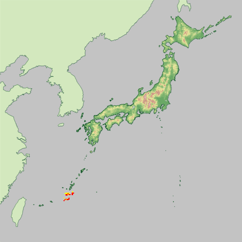 �����\��